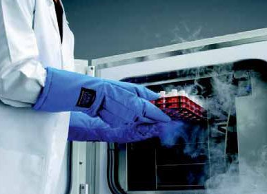 凍存細胞 凍存細胞